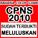 cpns 2010, cpns 2011, lowongan cpns 2010, lowongan 2010